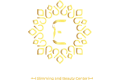 Envy_aesthetics_logo